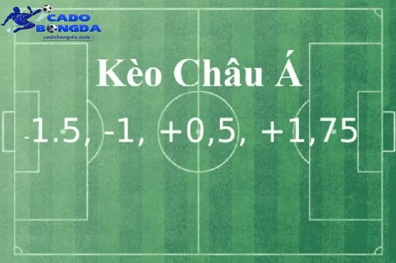 Đưa ra nhận định khách quan