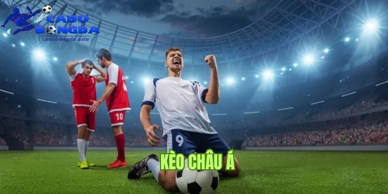 Những yêu tố cần quan tâm trước khi đặt kèo