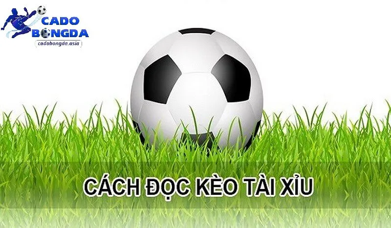 Phân tích kỹ trước khi đặt cược Phân tích chuyên sâu trước khi đặt kèo