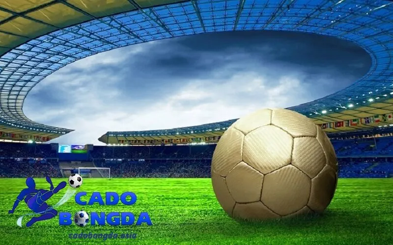 Một số loại kèo cho người chơi Tổng hợp các loại kèo chơi