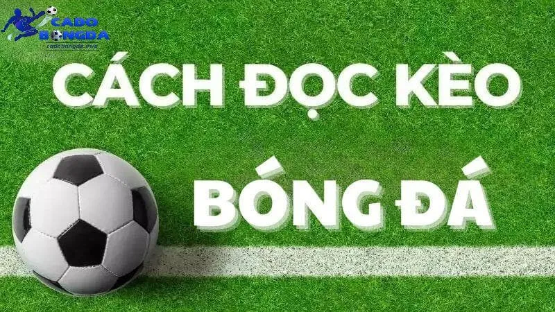 Yếu tố then chốt trước khi đặt kèo